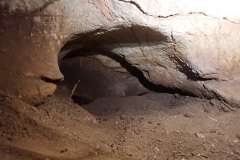P6090325